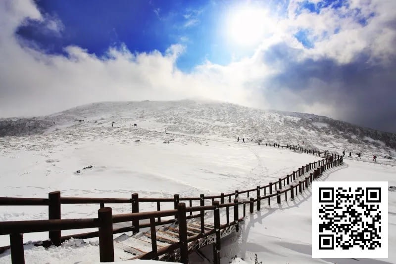 【GG扑克】素白绒雪铺满济州，SUPER CUP掀起新年热潮！开幕赛200人次26人晋级！一起见证冠军产生！【SUPER CUP济州】