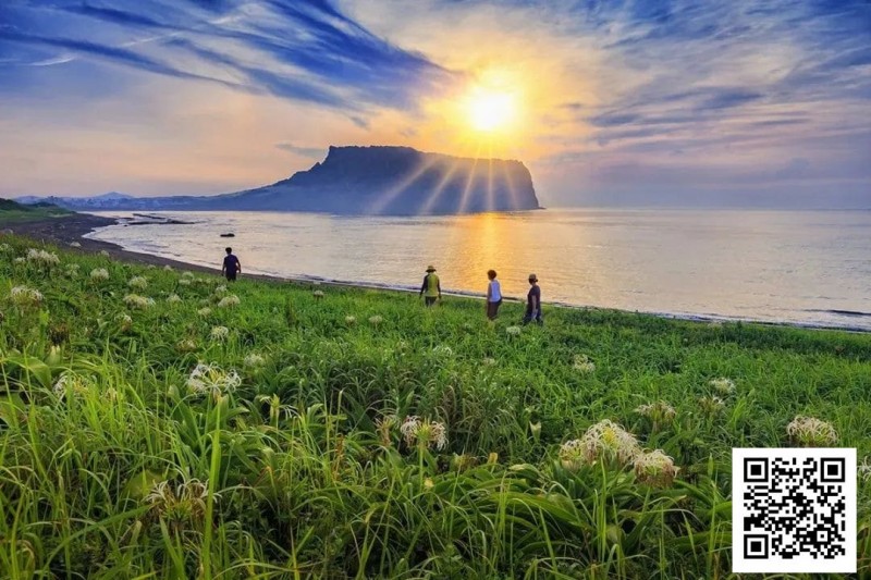 【GG扑克】别Till，来Jeju Chill——必去景点+路线打包+管家制定