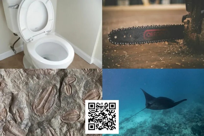 【GG扑克】扑克界谁的绰号最炸裂：电锯、魔鬼鱼、石化人、马桶？