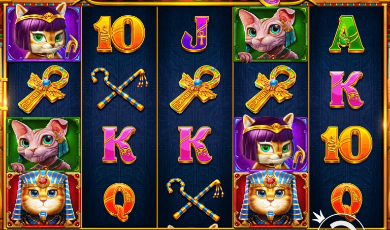 埃及神猫:探寻古埃及的未解之谜