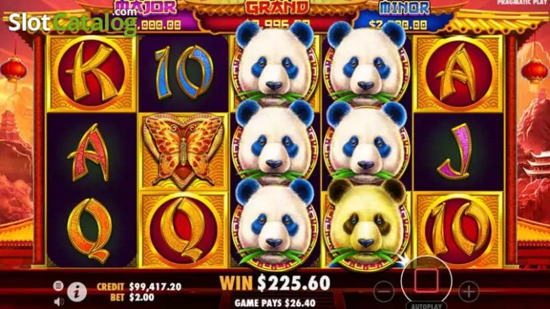 熊猫财富2重磅上线大发娱乐平台