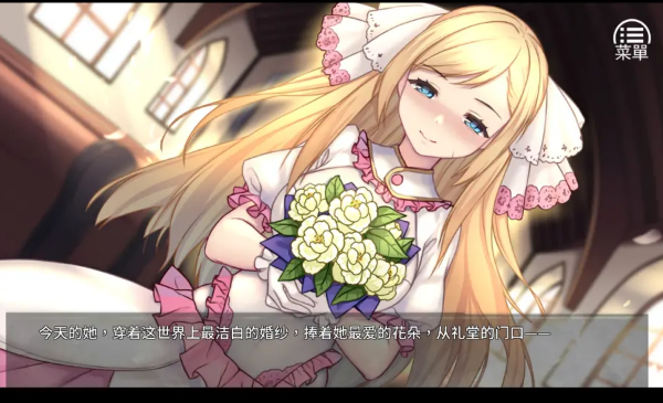 《奈的调整教育日记》全结局流程攻略一览【GG扑克战队】