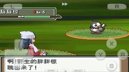 《口袋妖怪心金》金手指代码大全一览【GG扑克战队】