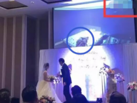 王钟瑶的五分三十七秒是怎么回事?王钟瑶婚礼【GGPoker亚洲官网】