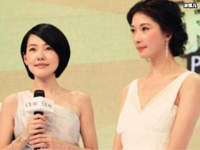 小s和林志玲有什么过节, 小S首谈两人不合传闻说了什么【GG扑克下载】