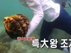 李烈音或被判5年, 因节目或成最惨女嘉宾【GG扑克下载】