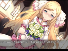 《奈的调整教育日记》全结局流程攻略一览【GG扑克战队】