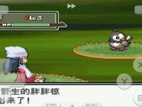 《口袋妖怪心金》金手指代码大全一览【GG扑克战队】