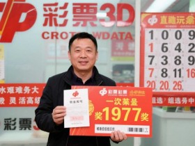 3D彩票的直选与组选:哪种玩法更适合追求高回报的你?